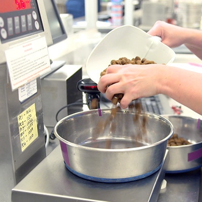 Leading Edge Production