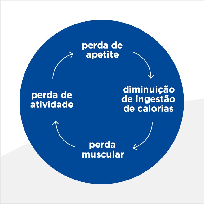 Uma nutrição não adequada pode ter consequências graves