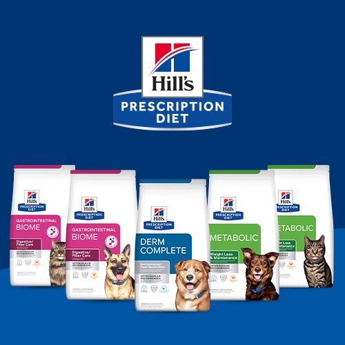 Prescrição de produtos dietéticos para o seu animal de estimação